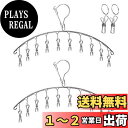 Qualsen ピンチハンガー 洗濯ハンガー 洗濯物干し ハンガー 10ピンチ (2本) ピンチハンガー ステンレス 防風フック 収納便利