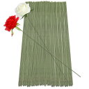 【送料無料】CCINEE 地巻ワイヤー #22 紙巻ワイヤー 鉄線 ダークグリーン 造花の茎になる 花芸素材ギット 全長330mm 200本入り 花芸 手芸 D...