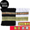 【送料無料】SHULLIN 24本 セット 刺しゅう糸 クロスステッチ 刺繍糸 縫い糸 手芸用糸 刺繍セット 長8m 初心者 クロスステッチ に最適 (ブラック...