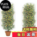 【送料無料】防虫ネット 植物保護カバー 2個セット 保護カバー 防鳥ネット メッシュ巾着式 虫鳥除け網 通気性 引き紐付き 園芸用ネット 植物保護カバー 鳥害対...