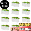 【送料無料】情景コレクション 模型 花壇 花 庭園 公園 街路 1:150 12本入り モデル 建物模型 ジオラマ 箱庭 装飾 鉄道模型 教育 DIY
