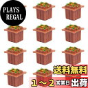 【送料無料】情景コレクション 模型 花壇 花 庭園 公園 街路 1:150 12本入り モデル 建物模型 ジオラマ 箱庭 装飾 鉄道模型 教育 DIY GY36...