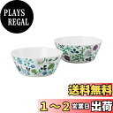 【送料無料】NARUMI(ナルミ) ボウル 皿 セット アンナ・エミリア 径14cm グリーン 花柄 2柄セット かわいい 電子レンジ温め 食洗機対応 ギフトボックス付き 96604-23162P