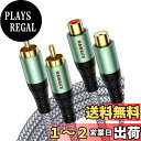 【送料無料】RAWAUX 2RCA 延長ケーブル サブウーファーケーブル 2RCA オス to 2RCAメス ナイロン編み込みステレオオーディオケーブルアダプター スピーカー アンプ ホームシネマ テレビ Hi-Fiシステム用 (3M, 2RCAオス-メス)