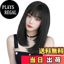 【送料無料】AISIQUEENSウィッグ セミロング 黒 ミディアム ストレート フルウィッグ ファッション レディース 自然 かつら 女装 女性 女装用 オシャレ wig 日常用 普段使い ナチュラル 耐熱 おしゃれ ロリータ ブラック ネット/櫛付き