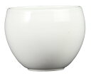 【送料無料】西海陶器(Saikaitoki) 波佐見焼 白 京丸小煎茶 69264