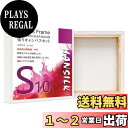 【送料無料】HANSILK 張りキャンバス S10 キャンバス 正方形 画材 絵画ボード 中目 油彩・アクリル兼用 100mm*100mm 4枚セット