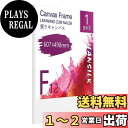 【送料無料】HANSILK キャンバス 張りキャンバス F12 607mmx498mm 1枚 キャンバス絵 パネルボード 画材 中目 化繊綿 美術装飾 ギャラリ...