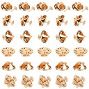 【送料無料】SANJAOYEE ピンバッジ 留め具 社章 ピンバッチ 直径11mm ローズゴールド バタフライ型クラッチ 50個セット