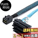 【送料無料】chenyang Mini SAS SFF-8643 ホスト 1~4 SAS SFF-8482 29ピン ターゲット SAS ディスク 6Gbps データサーバー RAID ケーブル 0.5M