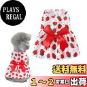 【送料無料】AmzBarley 犬 服 春 夏 ワンピース 小型犬 犬 ドレス 洋服 可愛い 蝶結び リボン いちご柄 人気 夏服 ペット服 犬の服 スカート おしゃれ 涼しい 通気性 ソフト ドッグウェア ファッション ペットウェア 犬猫 洋服 小中型犬 犬用 猫用 お散歩 お出かけ