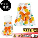 【送料無料】AmzBarley 犬服 ワンピース ペット服 ドッグウェア 可愛い 蝶結び オレンジ柄 通気性 袖なし ソフト 着脱簡単 抜け毛防止 小中型犬 猫服 犬用 スカート 洋服 室内 記念撮影 散歩 お出かけ