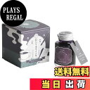 【送料無料】寺西化学工業 ギター 大正浪漫ハイカラインキ サロン・ド・バイオレット TRH-40ML-T63