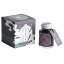 【送料無料】寺西化学工業 ギター 大正浪漫ハイカラインキ サロン・ド・バイオレット TRH-40ML-T63
