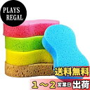 【送料無料】洗車 スポンジ 5個セット 洗車用スポンジ 傷つかない 水洗い コーティング車用 洗車すぽんじ ワックス 洗車用品 掃除 お風呂 スポンジ ランダム色 (カラフル)