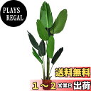 【送料無料】TANGKULA 人工 観葉植物 160cm フェイク 大型 フェイクグリーン 造花 人工樹木 フェイク植物 光触媒 インテリア 室内 屋外 水やり不要 枯れない (160cm)