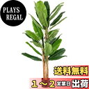 【送料無料】TANGKULA 観葉植物 フェイク 195cm フェイクグリーン 人工観葉植物 造花 インテリア 室内 屋外 フェイク植物 人工 観葉植物 水やり不要 枯れない 盆栽植物 (195cm-196)