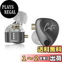 【送料無料】KZ Castor カナル型 イヤホン KZ インイヤーモニター イヤホン デュアルダイナミックドライバー ミュージシャン インイヤーイヤホン 2dd チューニングスイッチ 低反発イヤーチップ (低音補強バージョン・ブラックマイク付き)