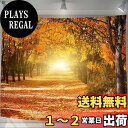 【送料無料】U-SITU タペストリー 壁掛け 壁飾り 紅葉 道路 秋 自然景色 オシャレ 背景 多機能 布ポスター インテリア 雰囲気転換(サイズ:長さ100cm x 幅150cm)カラー:GT0810A