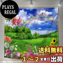 【送料無料】U-SITU タペストリー 壁掛け 壁飾り 野原 花 虹 自然景色 オシャレ 背景 多機能 布ポスター インテリア 雰囲気転換(サイズ:長さ100cm x 幅100cm)カラー:GT0496FA