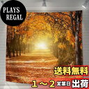 【送料無料】U-SITU タペストリー 壁掛け 壁飾り 紅葉 道路 秋 自然景色 オシャレ 背景 多機能 布ポスター インテリア 雰囲気転換(サイズ:長さ180cm x 幅180cm)カラー:GT0810FC