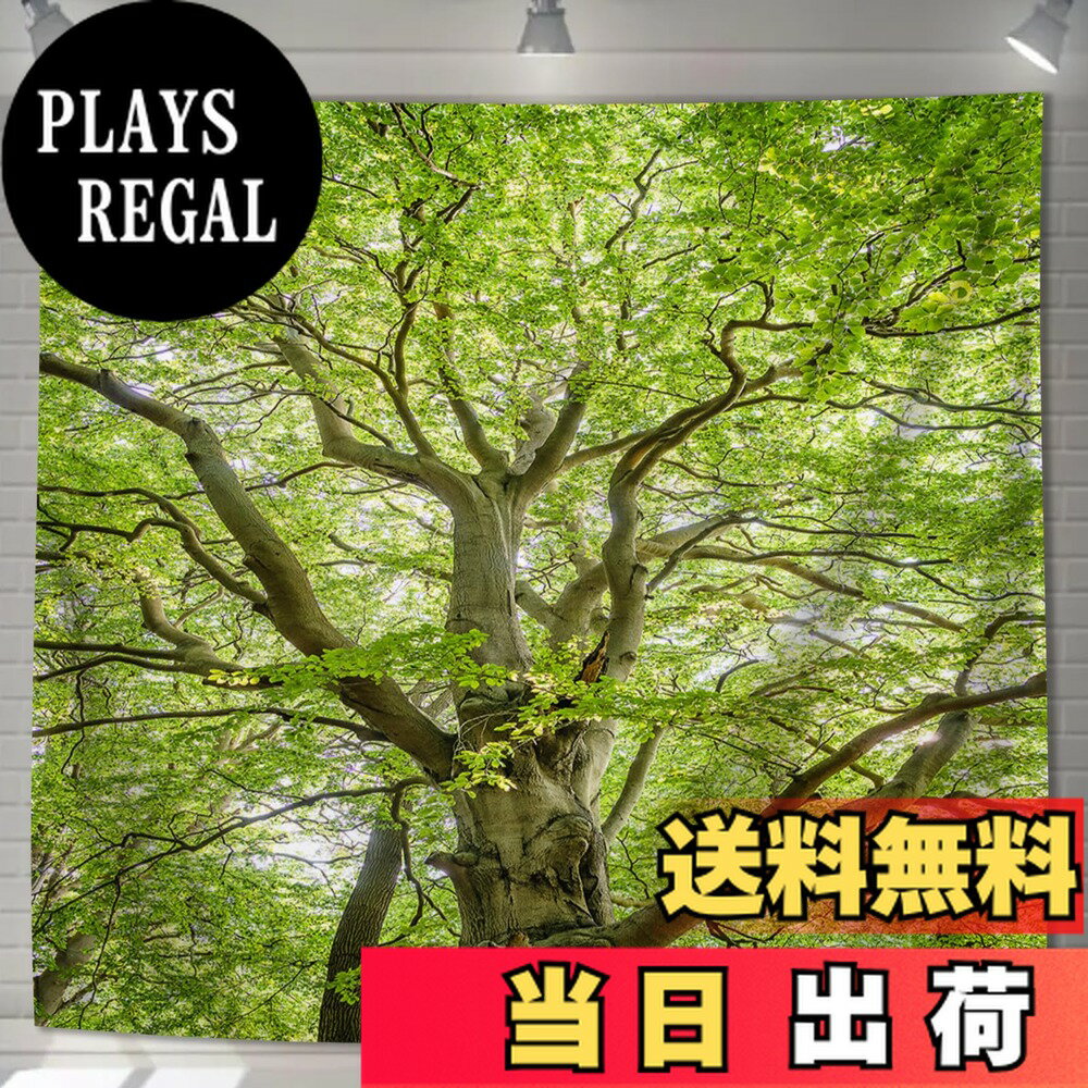 【送料無料】U-SITU タペストリー 壁掛け 壁飾り 大木 枝下 葉 自然景色 オシャレ 背景 多機能 布ポスター インテリア 雰囲気転換（サイズ：長さ130cm x 幅130cm）カラー：GT0035FB