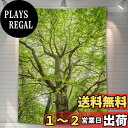 【送料無料】U-SITU タペストリー 壁掛け 壁飾り 大木 枝下 葉 自然景色 オシャレ 背景 多機能 布ポスター インテリア 雰囲気転換(サイズ:長さ230cm x 幅180cm)カラー:GT0035C