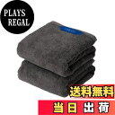 【送料無料】Christy ミニバスタオル 2枚セット コットン100% 約50×100cm 吸水速乾 ラグジュアリー ホテルライク ふっくら タオル 綿 Pimlico Graphite