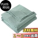 【送料無料】SE タオルケット セミダブル 夏用 ブランケット 綿100% 柔らかい ふんわり 吸湿速乾 抗菌防臭 洗える オールシーズン 160cmx200cm グリーン 「SE Softexly」