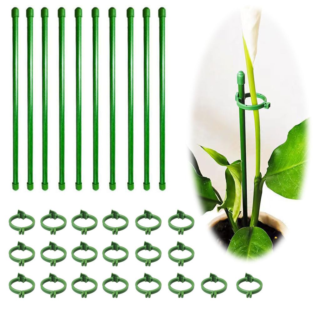 ̵BIUTEFOR   ʪ տʪ  ڲֻ*10/ե*20ġ۲ֻ٤ ĳջ Ͷ  ʪݡ ...