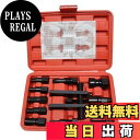 【送料無料】TSUCIA パイロットベアリングプーラーセット 8-29mm 内掛け対応 車 バイク ベアリング交換 ベアリングツール 10点セット