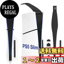 【送料無料】L'QECTED 新型PS5 Slim(CFI-2000)用 ホコリキャッチャー【ホコリ侵入防止/USBキャップ/新型PS5両エディション対応】PS5 Slim 防塵フィルター 防毛・通気性・ 放熱|詳細画像