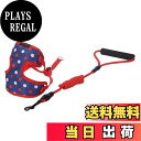【送料無料】(DauStage) 5カラー 3サイズ 小型 中型 犬用 ハーネス リード セット オリジナルトートバッグ付き (S, レッド)