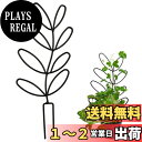 【送料無料】YUWENW 園芸支柱 植物支柱 1セット 花ささえ 花支え 植物サポート 観葉植物 成長サポート 植物倒れ防止 手で調整可能 再利用可能 植物固定...