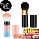 【送料無料】PAVIKE チーク用ブラシ 化粧ブラシ 2色入り パウダー用ブラシ 伸縮式デザイン フェイスブラシ 持ち運び便利 フェイスパウダーブラシ かわいい...