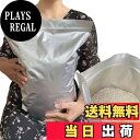 【送料無料】お米保存袋 米袋 8kg お米 保存容器 アルミ袋 ジッパー付き 袋 (冷蔵庫保存) チャック付き 遮光袋 (2XL:米袋 8kg用5枚)