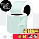 【送料無料】Core Mini 空気清浄機フィルター CoreMini 交換フィルター LAP-C161-WJP 空気清浄機 LRF-C161-WJP ペット特化 LAP-C161-AJPR フィルター LAP-C161-KJP 交換用フィルター 取替えプレフィルター 除菌 集じん 除臭 花粉 空気清浄機 集じんフィルター 脱臭フィルター
