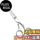 【送料無料】YOLOLO 髪切りはさみ カットバサミ ヘアカット スキ率15%散髪カットバサミ 散髪ヘアカット 髪切りハサミ セニングシザー子供の散髪 毛量調整 質感調整 ベアリング式 開閉スムーズ初心者 セルフカット 滑らかな動き細やかな職人技理髪師はさみ (フラットカット)