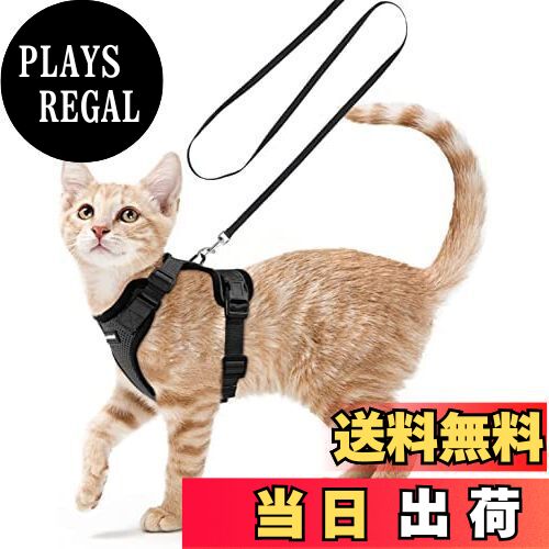 【送料無料】Rabbitgoo 猫 ハーネス リード セット 小型犬 犬猫兼用 抜けない はーねす ソフト胸あて 軽量 足を上げず装着完成 サイズ調節可 ネコ 散歩 紐 夜反射 通気メッシュ 咳込み防止 胴輪 ベスト りーど(黒 XXSサイズ)