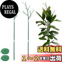 【送料無料】【Charming Club】園芸支柱 モンステラ 支柱 観葉植物 植物サポート モンステラフラワースタンド 花支架 ガーデニング支柱 長期間使用 ...