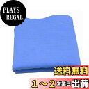 【送料無料】CHENLONB スイムタオル セームタオル 柔らかい 速乾 軽量 耐久性 繰り返し使える スイミング プール スポーツ アウトドア 43x32cm (ブルー)