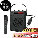 【送料無料】WinBridge ポータブル拡声器 40W スピーカーセット PAシステム ヘッドセット ハンドマイク 2人同時使用 音楽再生 ECHO/録音/USB/AUX/TFカード 充電式 室外、イベント、大道芸、 教室、インストラクター、ガイド、小さなパーティー、会議などに最適 S95