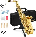 Eastar サックス アルトサックス Eb Saxophone ゴールドラッカー サクソフォン ケース付き お手入れセット サックス 初心者 AS-2