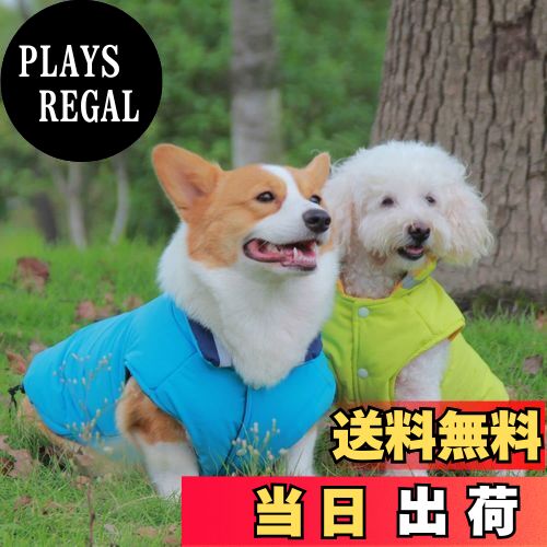 PLAYS REGAL㤨̵֡LIKOKLIN  ڥå  󥸥㥱å ڥå  ɴ ɥå   餫 淿  㥱å ȿ;դ к ? Ǩк ξ ɴ ɿ  ɿ塦ù ݲ Ȥ ?  ФפβǤʤ1,779ߤˤʤޤ