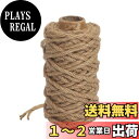 【送料無料】Tenn Well 20M 麻縄, 4mm 太い 麻ロープ 園芸 麻紐 手作り DIY 梱包 猫爪とぎ修理などに (茶色)