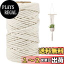 【送料無料】Tenn Well 5mm マクラメ 紐, 50M 太い マクラメロープ 手芸 紐 壁掛け、工芸品、編み物、DIY装飾などに(ベージュ)
