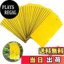 【送料無料】VitalBloom 捕り粘着シート 虫よけプレート捕虫シート 防虫シート 昆虫スティッキー キャッチャー ハエ アブラムシ ミバエ 害虫対策用品 ...