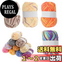 【送料無料】CAPASTEC 毛糸 60%コッ トン40%アクリル 50g±2g (約160m) 柔らかい 2本セット 編み物セット 段染風 クリス マスプレゼ...