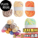 【送料無料】CAPASTEC 毛糸 60%コッ トン40%アクリル 50g±2g (約160m) 柔らかい 2本セット 編み物セット 段染風 クリス マスプレゼ...