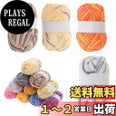 【送料無料】CAPASTEC 毛糸 60%コッ トン40%アクリル 50g±2g (約160m) 柔らかい 2本セット 編み物セット 段染風 クリス マスプレゼ...